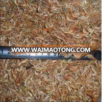 Premium Grade Seafood Dried Shrimp High Quality