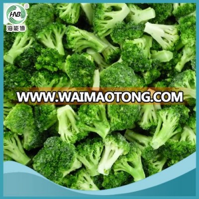 export wholesale high quality Organic Broccoli