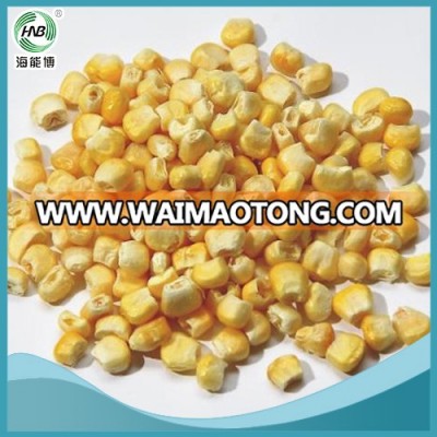 wholesale non gmo FD corn