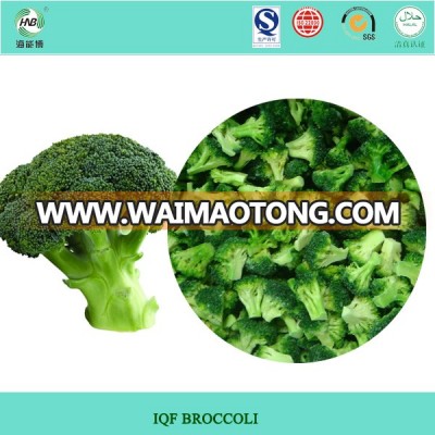 supply good quality Frozen broccoli hot new products for 2014