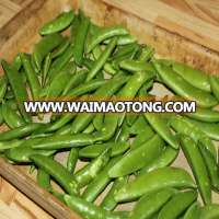 IQF Frozen Green Pea Pod